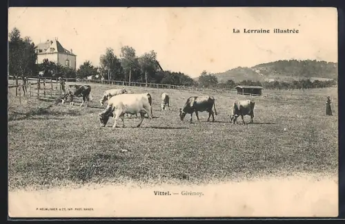 AK Vittel, Géremoy, Vaches paissant dans un pré avec maison et collines en arrière-plan