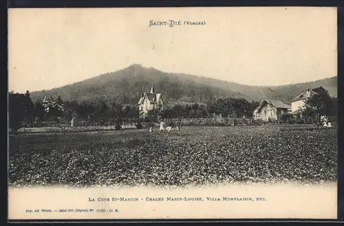 AK Saint-Dié /Vosges, La Côte St-Martin, Chalet Marie-Louise, Villa Monplaisir, etc