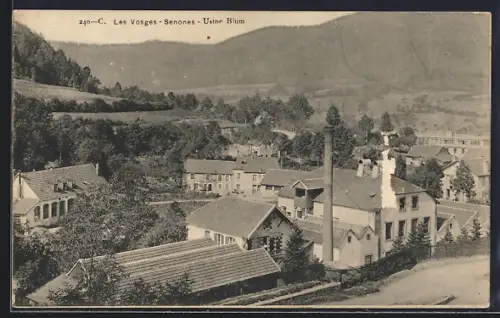 AK Senones, Usine Blum dans le paysage vallonné des Vosges