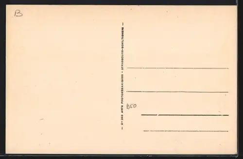 AK Vittel, Le Champ de Courses