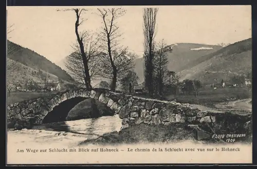 AK La Schlucht, Le chemin de la Schlucht avec vue sur le Hohneck