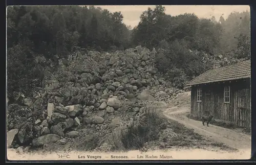 AK Senones /Vosges, Les Roches Margot et chemin forestier avec cabane en bois