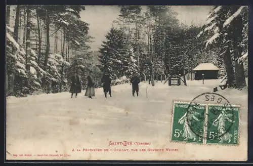 AK Saint-Dié /Vosges, À la Pépinière de l`Ormont, par les grandes neiges