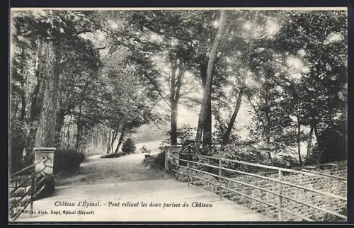 AK Épinal, Pont reliant les deux parties du Château