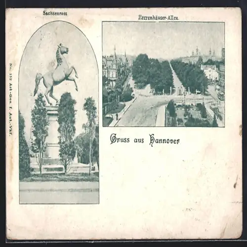 AK Hannover, Sachsenross, Herrenhäuser Allee