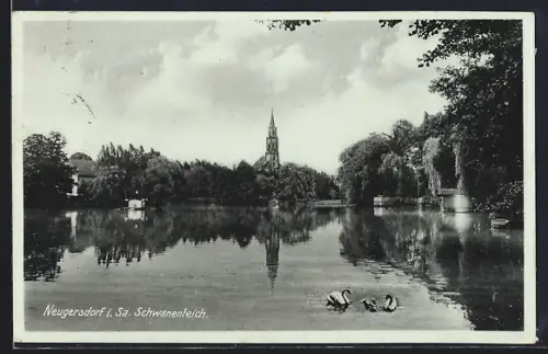 AK Neugersdorf i. Sa., Schwanenteich mit Blick auf den Ort