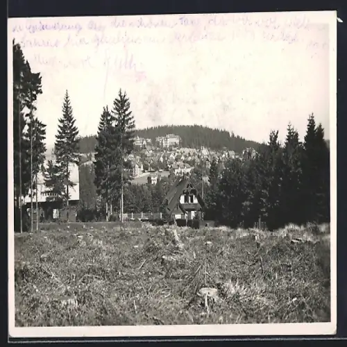 AK Oberhof i. Thür., Ortsansicht mit Bäumen