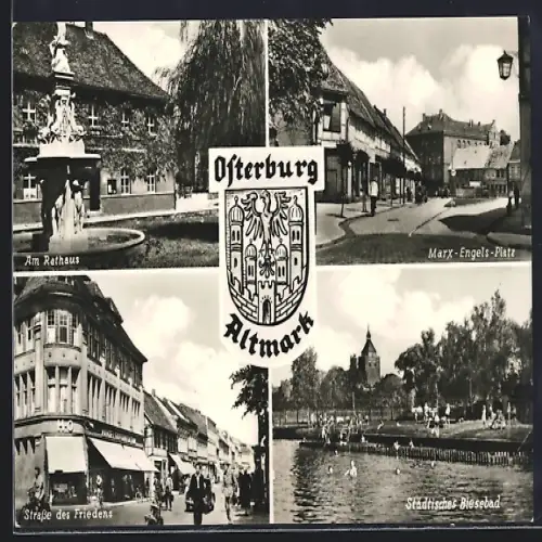 AK Osterburg /Altmark, Am Rathaus, Marx-Engels-Platz, Strasse des Friedens, Städtisches Biesebad