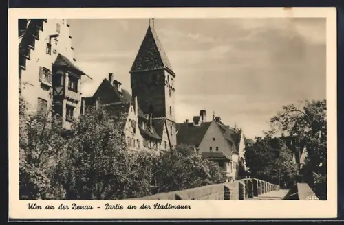 AK Ulm an der Donau, Partie an der Stadtmauer
