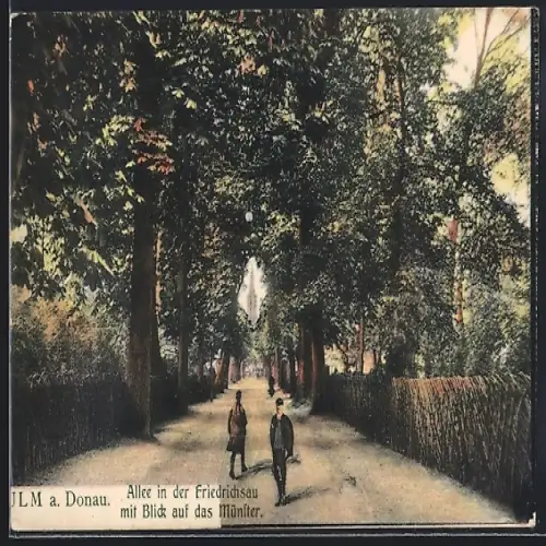 AK Ulm a. Donau, Allee in der Friedrichsau, Blick auf das Münster