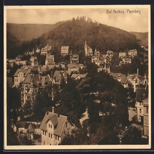 AK Bad Harzburg, Papenberg mit Blick auf den Ort