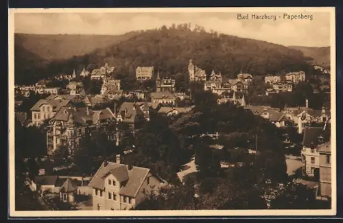 AK Bad Harzburg, Papenberg mit Blick auf den Ort