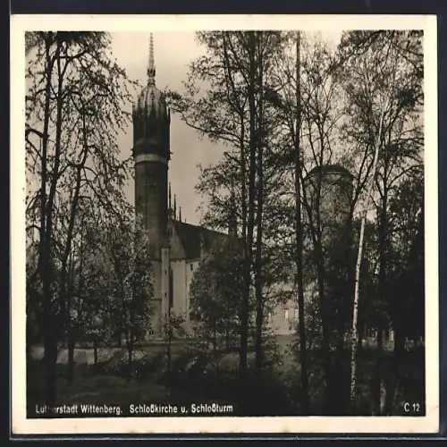 AK Wittenberg / Lutherstadt, Schlosskirche u. Schlossturm