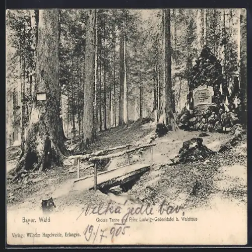 AK Waldhaus /Bayer. Wald, Grosse Tanne und Prinz Ludwig Gedenktafel