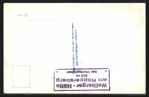 AK Laab im Walde, Wallbergerhütte am Roppersberg