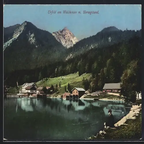 AK Urfeld / Walchensee, Ansicht mit Herzogstand