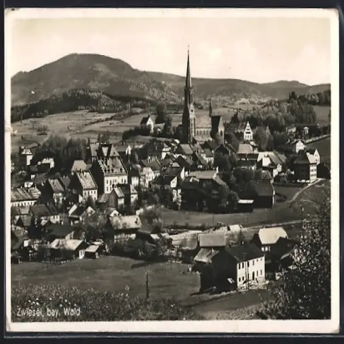 AK Zwiesel / bayr. Wald, Ortsansicht mit Kirche