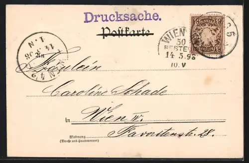 AK Nürnberg, Insel Schütt