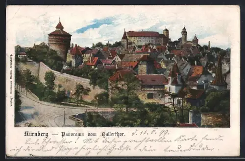AK Nürnberg, Panorama vom Hallerthor