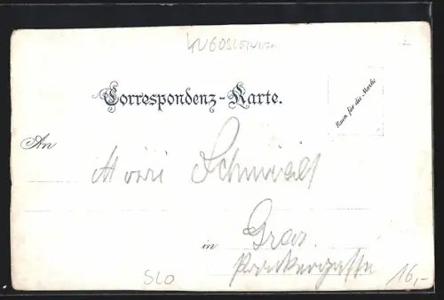 Lithographie Steinbrück /Savethal, Bahnhof, Triglav, Erzherzog Johann-Brücke