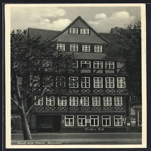 AK Hann. Münden, Gasthof Weisses Ross