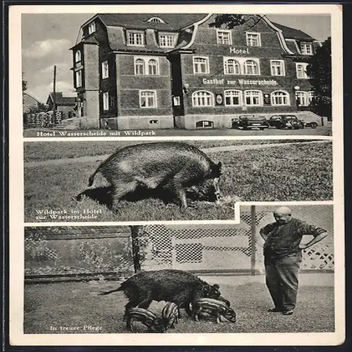 AK Würgendorf /Kr. Siegen, Hotel-Restaurant Zur Wasserscheide, Inh.: Fr. Oswald