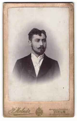 Fotografie F. Molnár, Wels, Westbahnstrasse 10, Porträt eines Mannes mit Schnurrbart