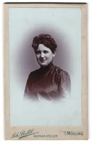 Fotografie Joh. Bittl, Mödling, Demelgasse 30, Porträt einer Dame