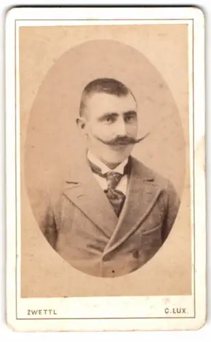 Fotografie C. Lux, Zwettl, Eleganter Herr mit markantem Schnurrbart