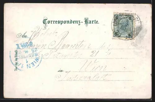 AK Haugsdorf /N.-Öst., Strassenpartie mit Fahrradfahrer