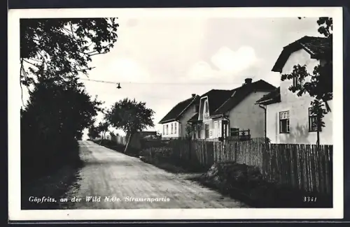 AK Göpfritz an der Wild, Strassenpartie mit Häusern