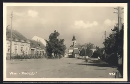 Foto-AK Wien-Probstdorf, Ortspartie mit Strassenblick