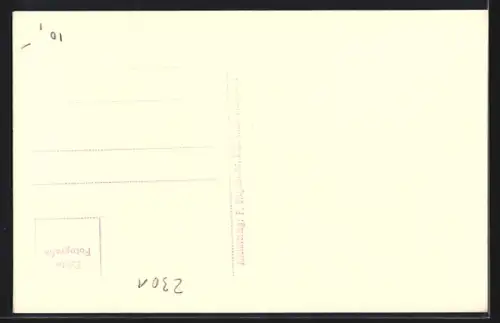 Foto-AK Wien-Probstdorf, Ortspartie mit Strassenblick