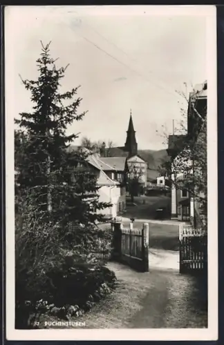 AK Puchenstuben, Strassenpartie mit Kirche