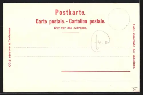 Lithographie Montreux, Teilansicht mit Bergen, Dampfer