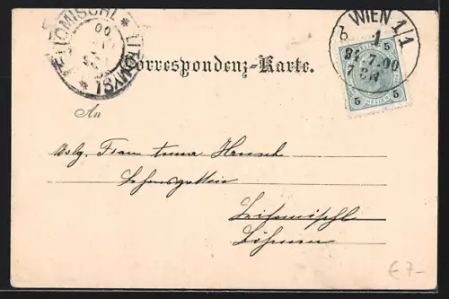 Lithographie Payerbach /Semmeringbahn, Ortspartie mit Schwarza-Viaduct