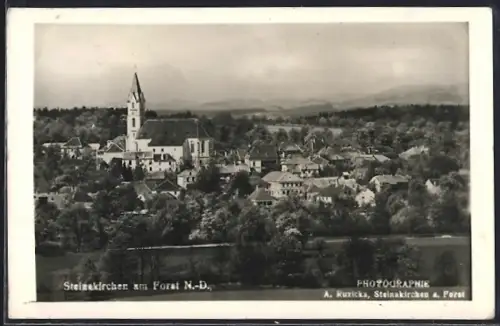 AK Steinakirchen am Forst, Teilansicht mit Kirche