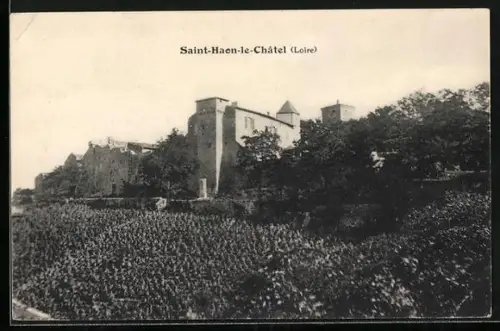 AK Saint-Haon-le-Châtel /Loire, Vue du château entouré de vignes verdoyantes