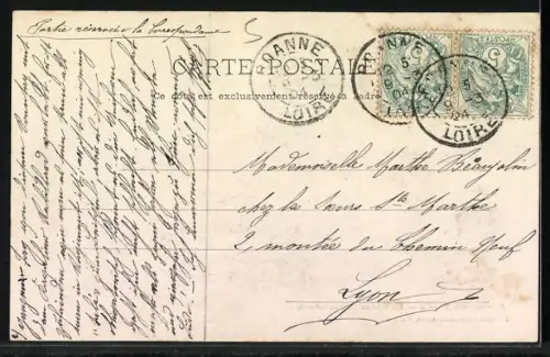 AK Riorges, Un coin du Parc du Picaud