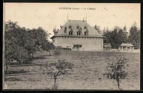 AK Cuinzier /Loire, Le Château