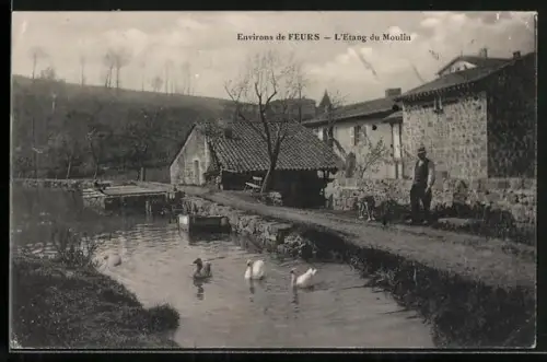 AK Feurs, L`Étang du Moulin avec des canards et bâtiments en pierre