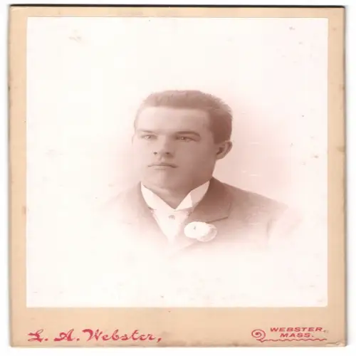 Fotografie L. A. Webster, Webster / MA, Porträt eines jungen Mannes