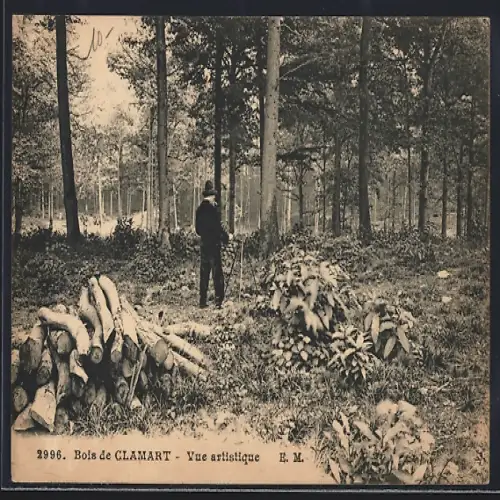 AK Clamart, Bois Clamart, Vue artistique avec promeneur et arbres majestueux