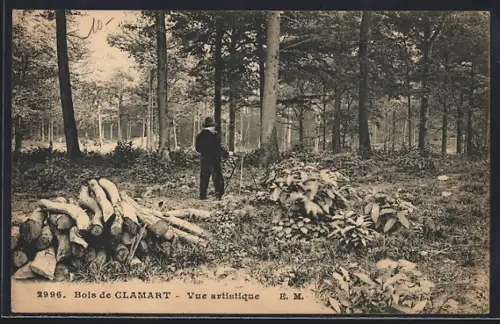 AK Clamart, Bois Clamart, Vue artistique avec promeneur et arbres majestueux