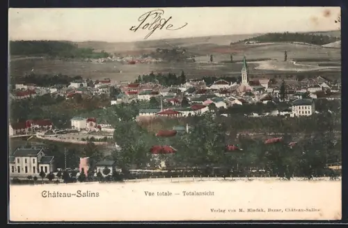 AK Château-Salins, Vue totale du village et des environs champêtres