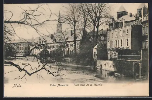 AK Metz, Bras mort de la Moselle