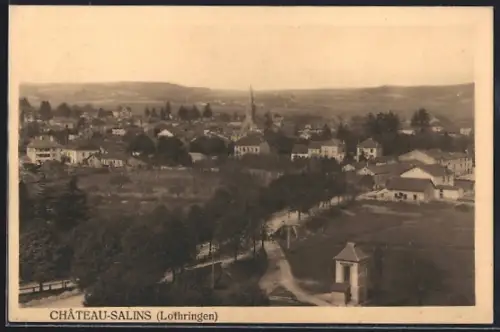 AK Château-Salins /Lothringen, Vue panoramique du village en Lorraine