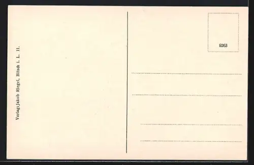 AK Bitsch i. L., Vue partielle avec forteresse