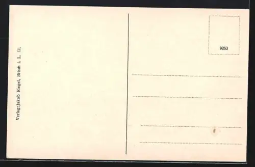 AK Bitsch i. L., Teilansicht mit Festung