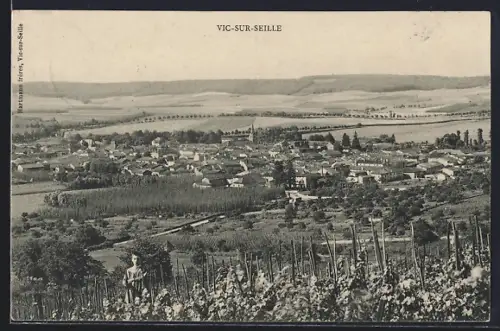 AK Vic-sur-Seille, Vue panoramique du village et des vignobles environnants